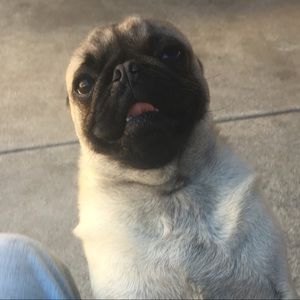 Meet your Posher, Luis